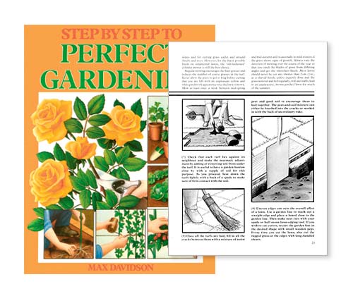 how to create a perfect garden